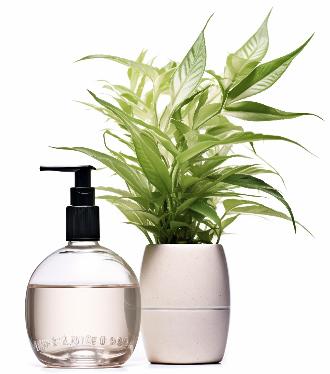Zenful vase and herbs